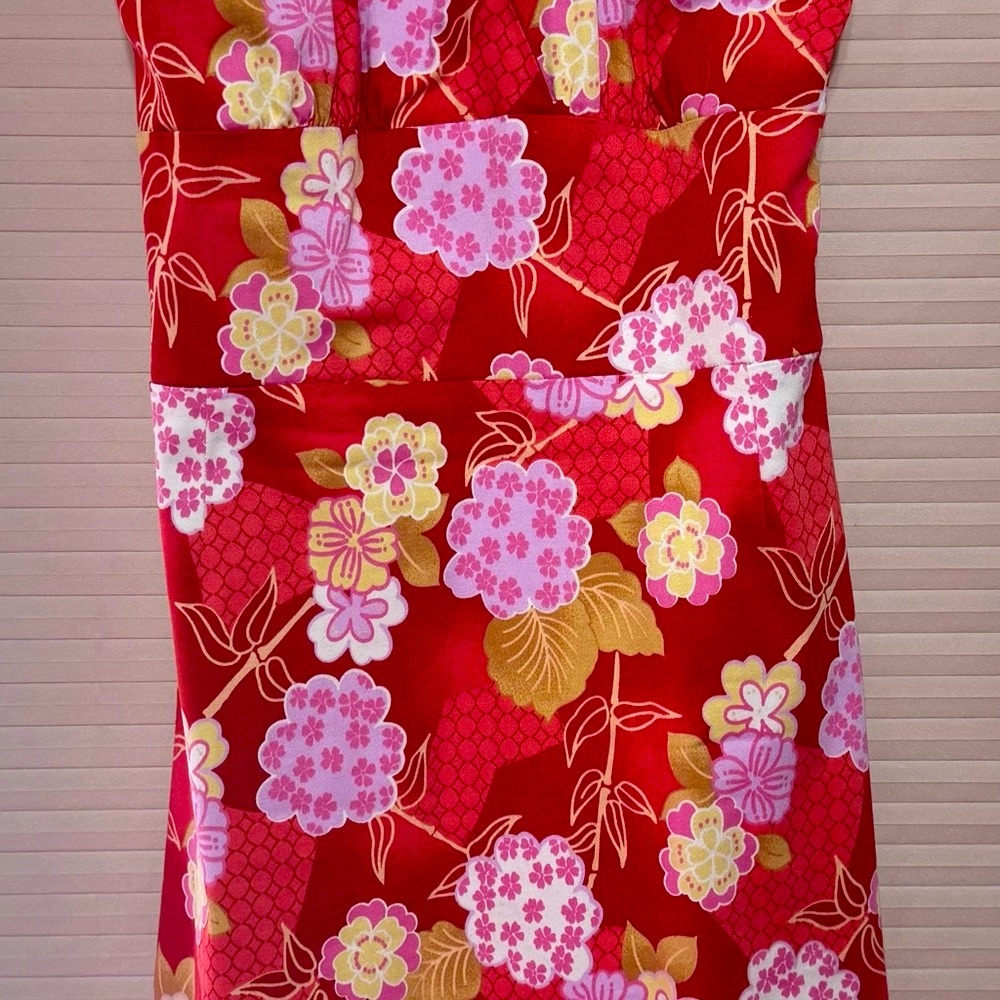 Floral Red and Pink Dress